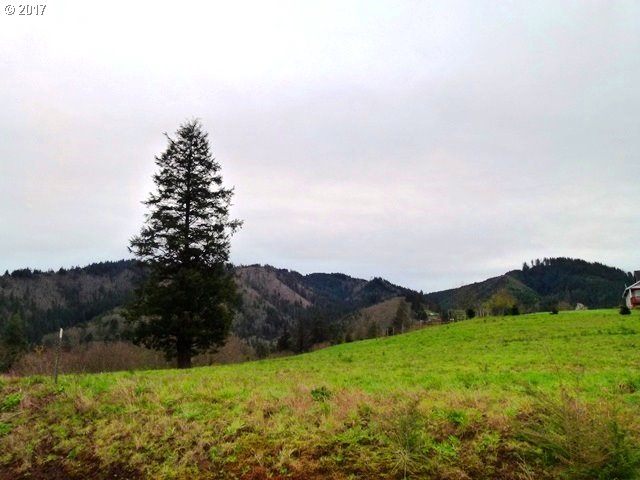 Marvin Road Tillamook, OR 97141 - Photo 4 of 5 Gallery Image 4