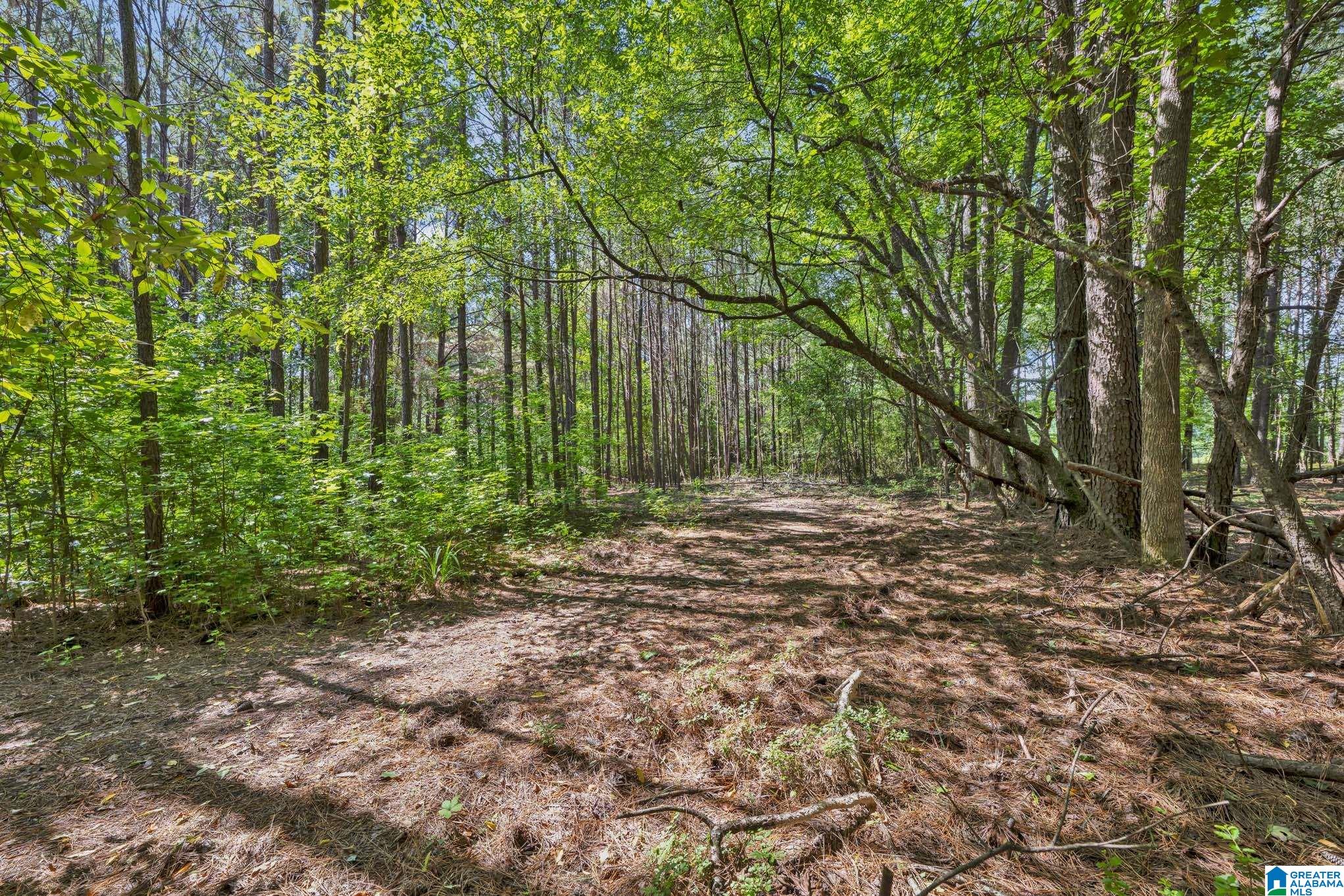199 Joiner Road Hayden, AL 35079 - Photo 39 of 44