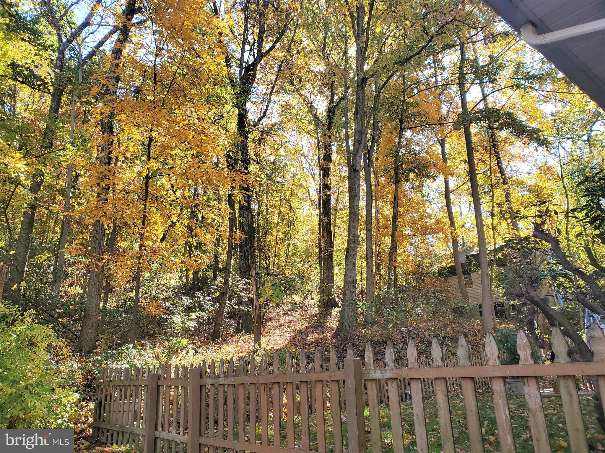 80 Spring Road Malvern, PA 19355 - Photo 54 of 68 Property Includes a Beautiful Natural Forest