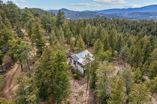 a view of a forest with a mountain