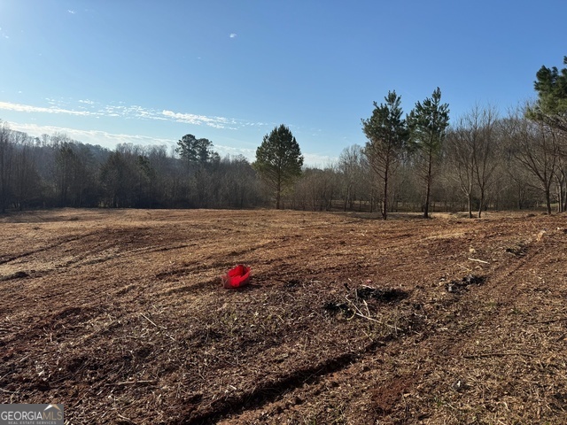 2772 Mt Zion Road Oxford, GA 30054 - Photo 1 of 1 Gallery Image 1