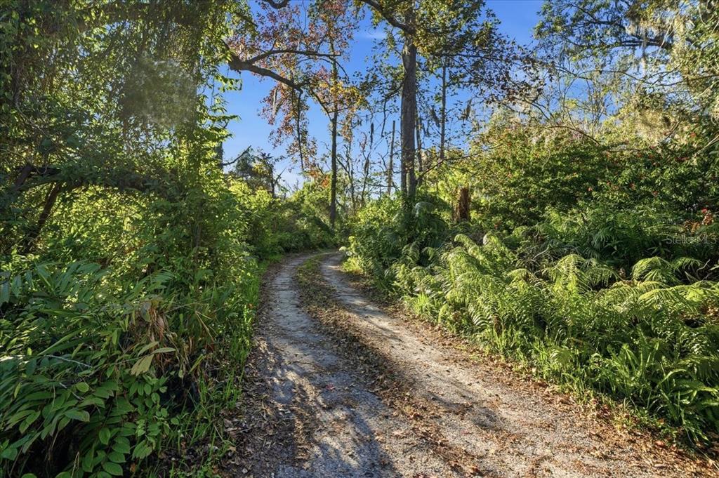 16921 Crawley Road Odessa, FL 33556 - Photo 5 of 53