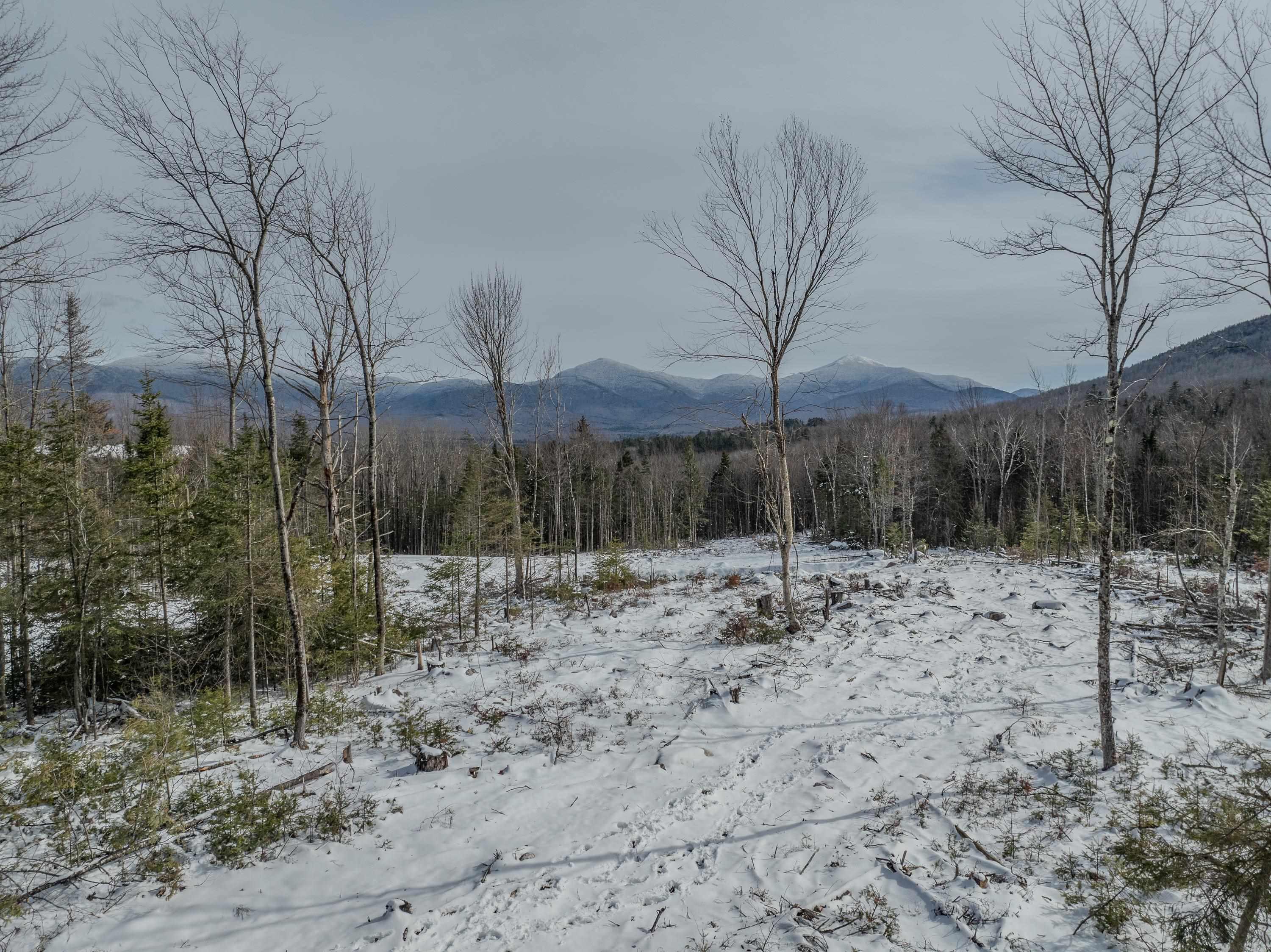0 Ridge Road, Unit 43 Bethlehem, NH 03574 - Photo 3 of 36