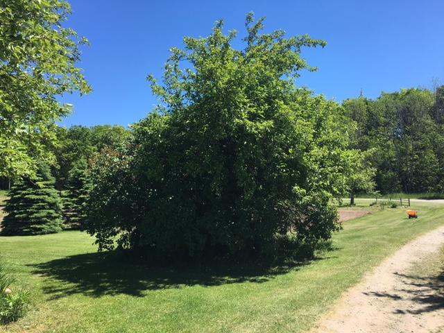 9836 Kennedy Road Posen, MI 49776 - Photo 28 of 30 Gallery Image 28