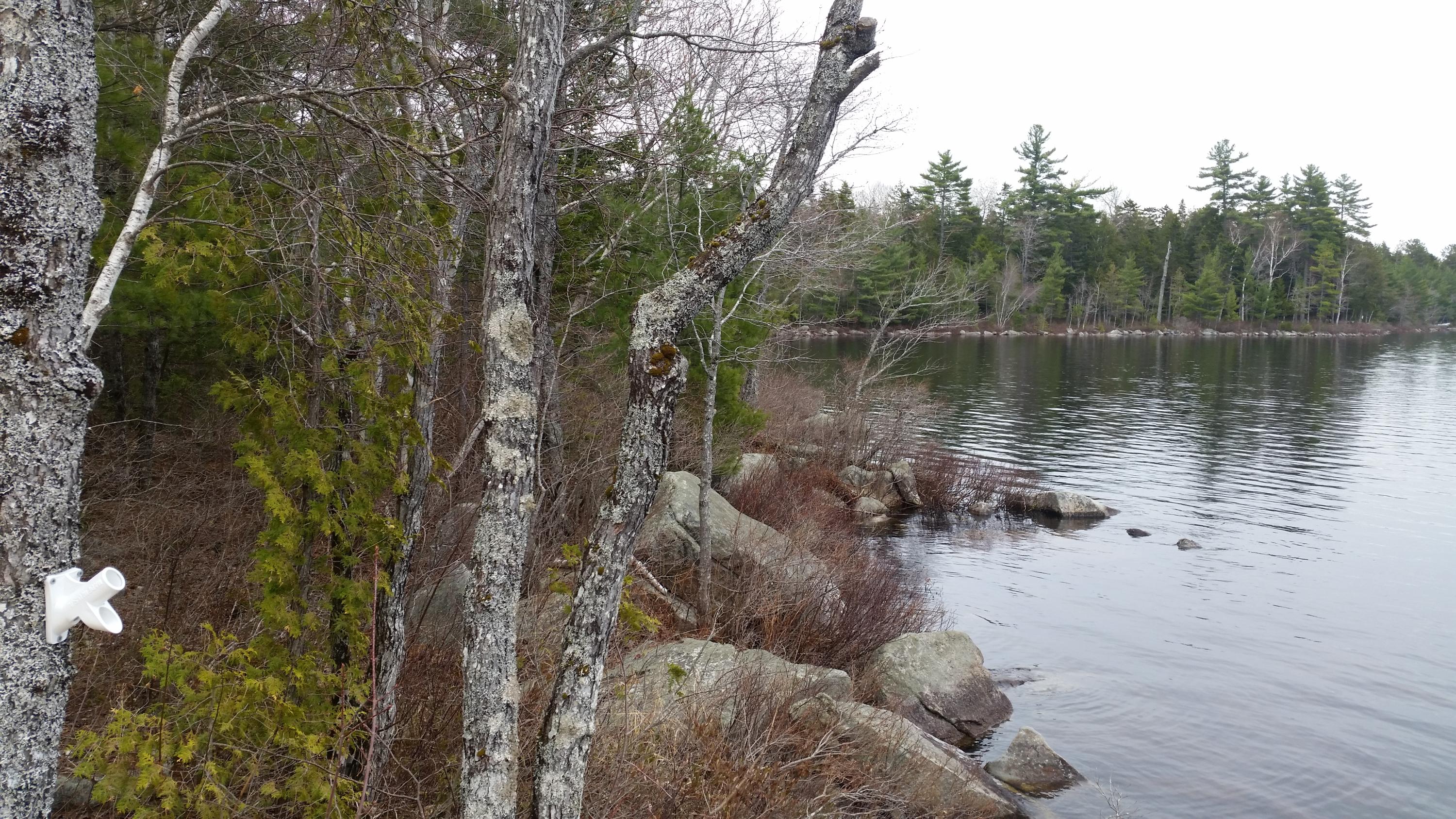 265 East Shore Road Burlington, ME 04417 - Photo 1 of 22 265 East Shore Rd, Burlington, ME