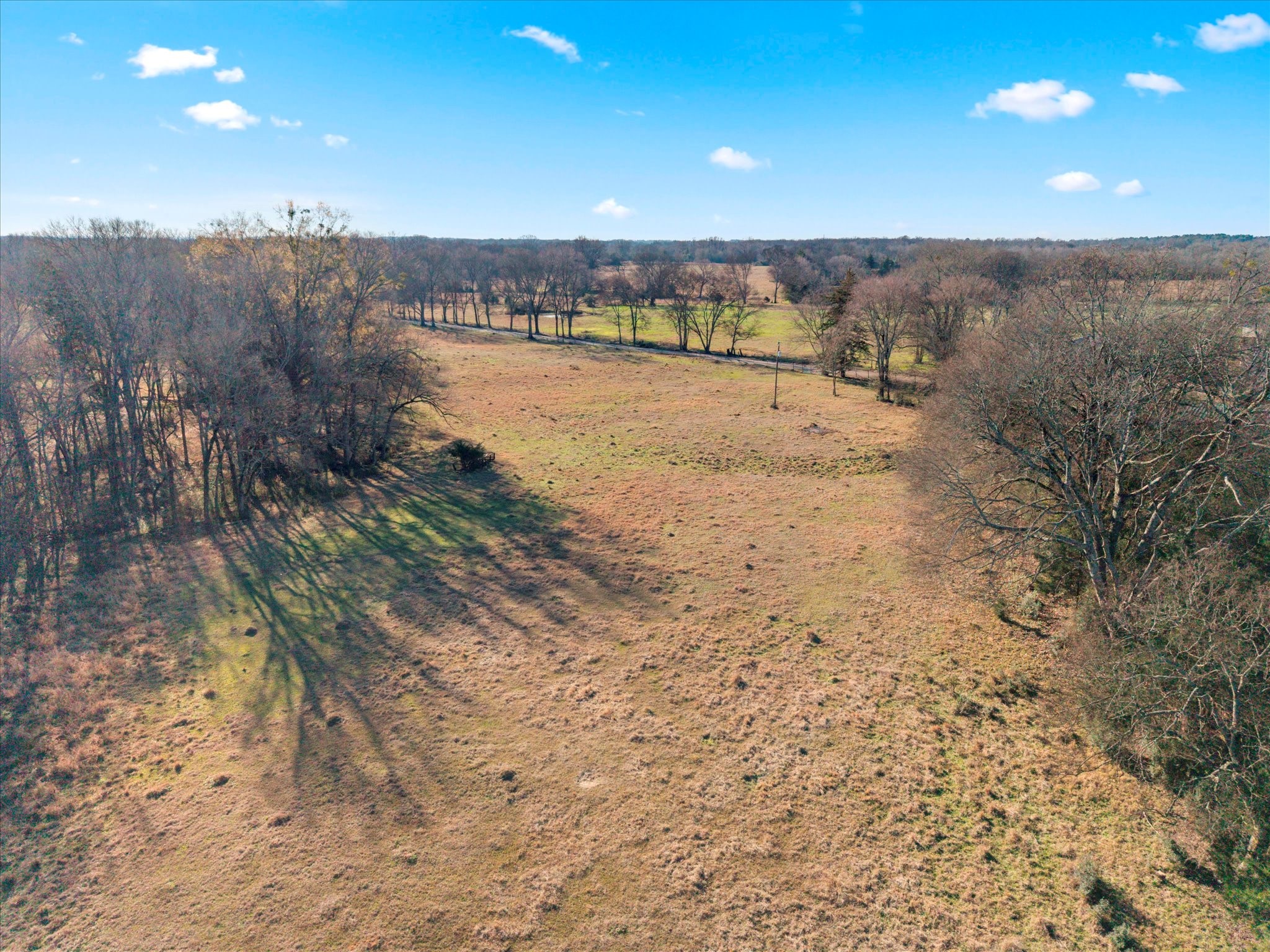 4315 County Road Omaha, TX 75571 - Photo 13 of 19