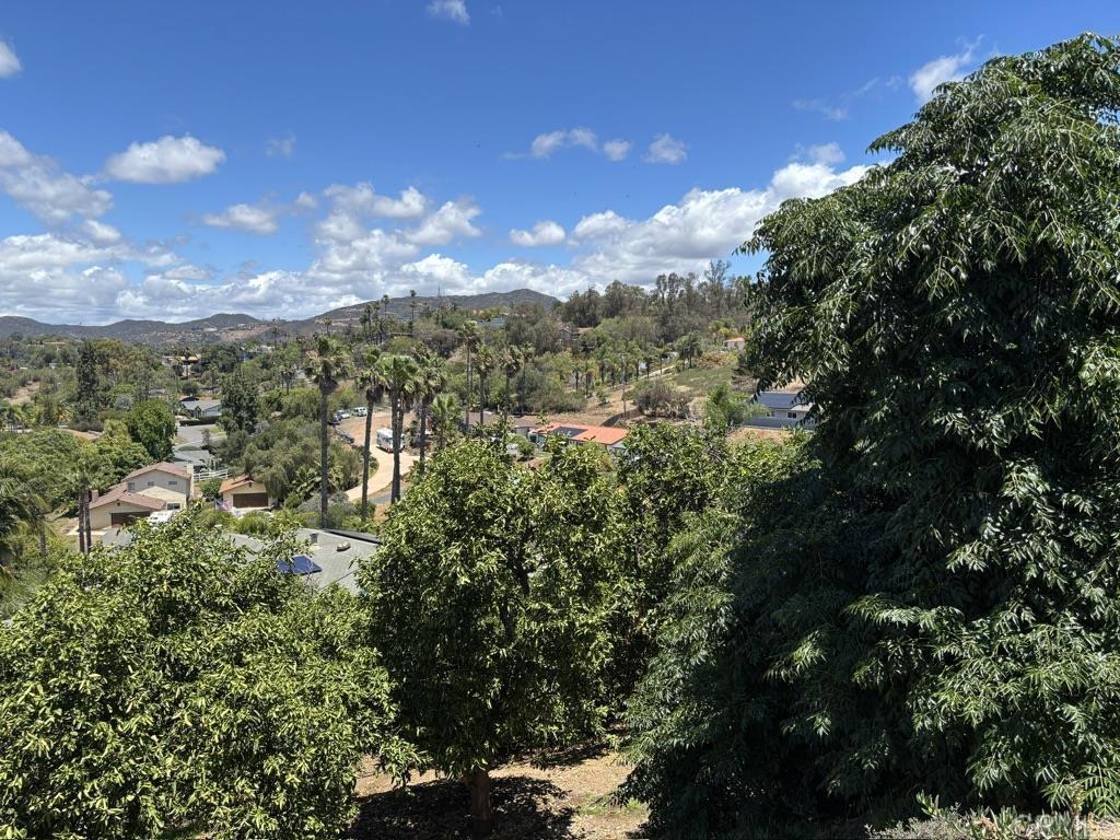 1825 Kent Place Vista, CA 92084 - Photo 50 of 57