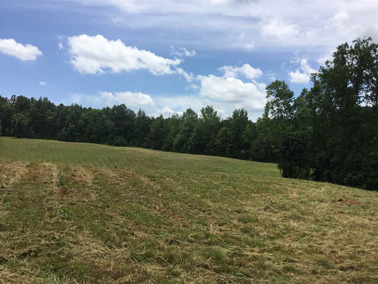 0 Amber Drive Inman, SC 29349 - Photo 12 of 12