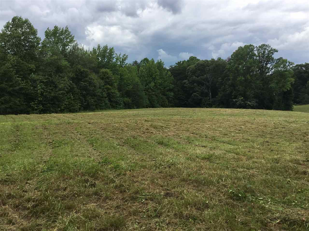 0 Amber Drive Inman, SC 29349 - Photo 6 of 12