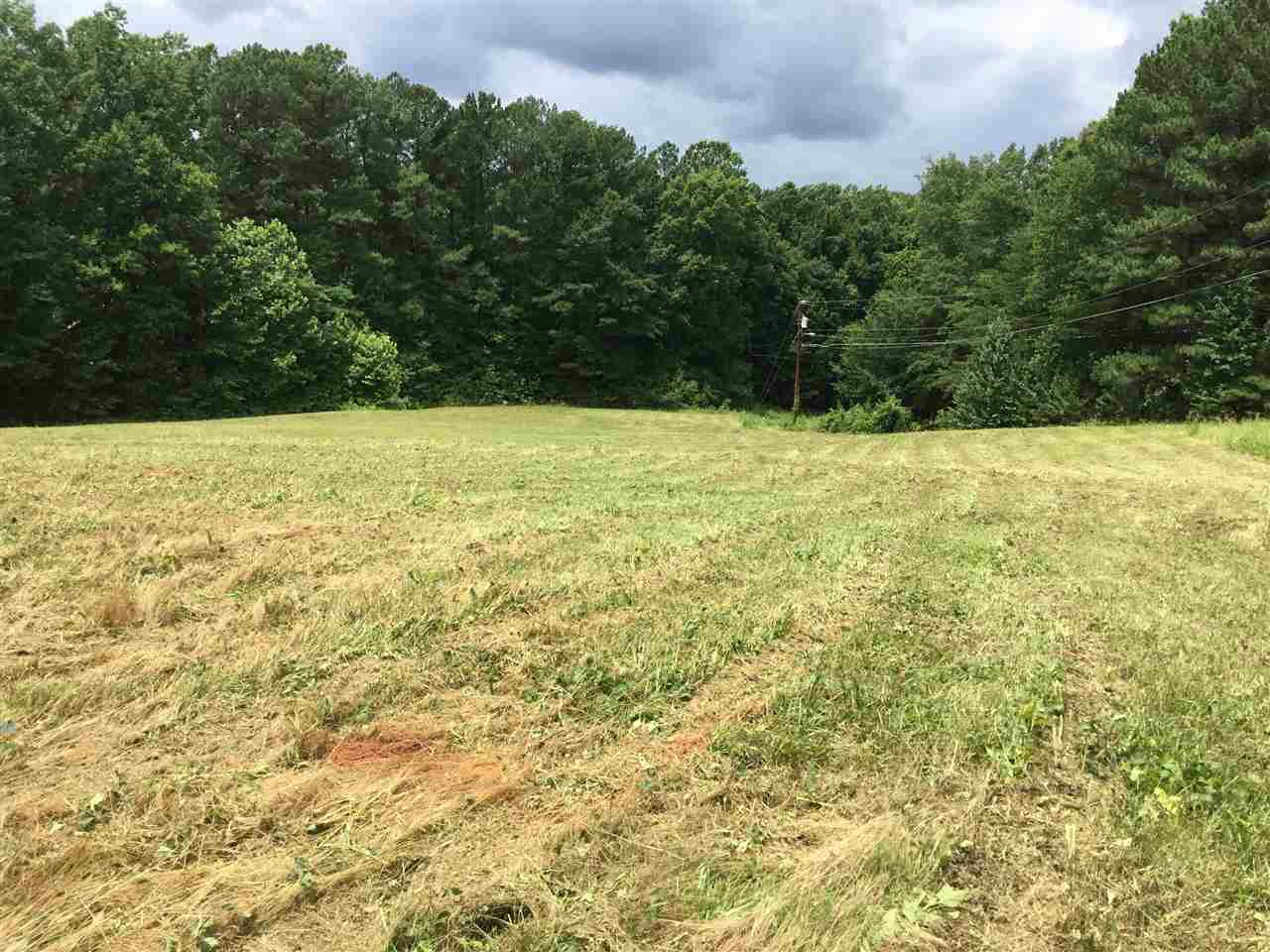 0 Amber Drive Inman, SC 29349 - Photo 9 of 12