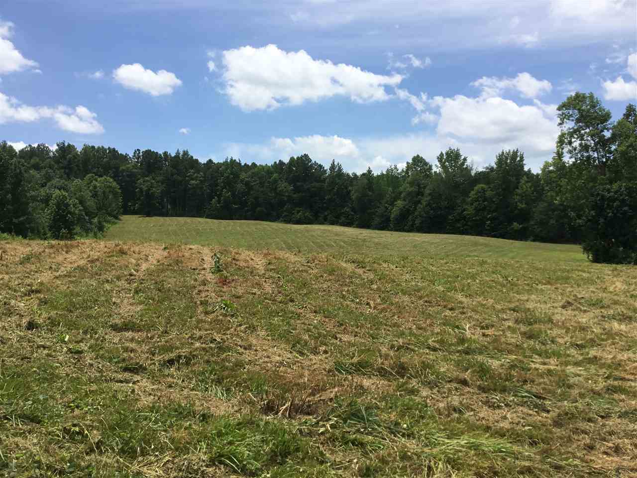 0 Amber Drive Inman, SC 29349 - Photo 10 of 12