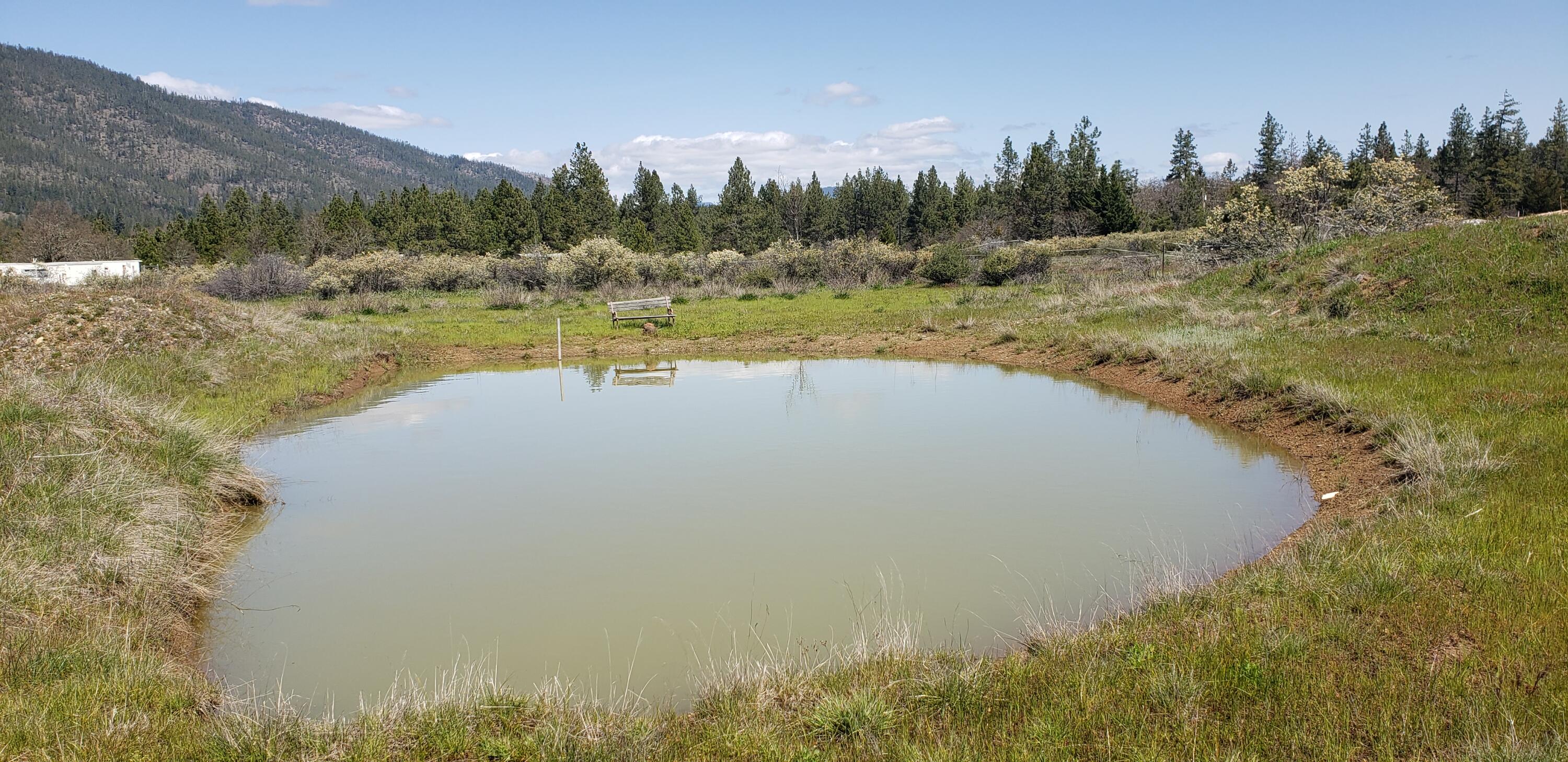 280 Turner Road Cave Junction, OR 97523 - Photo 38 of 38 Spring fed, may get lower in late summer. Ducks, geese, other animals sure love this pond.