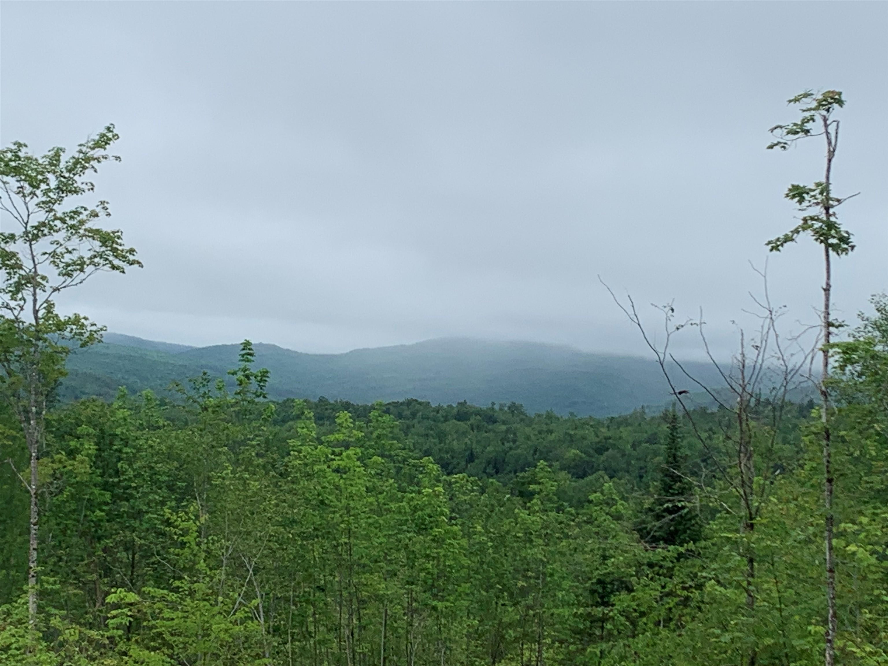 14 Washburn Road Columbia, NH 03590 - Photo 1 of 13