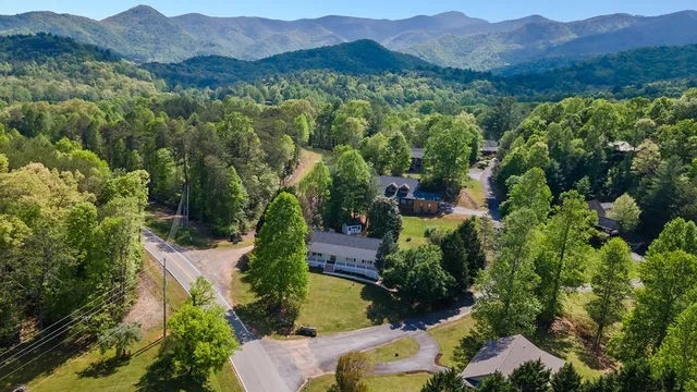 an aerial view of green landscape with trees houses and mountain view