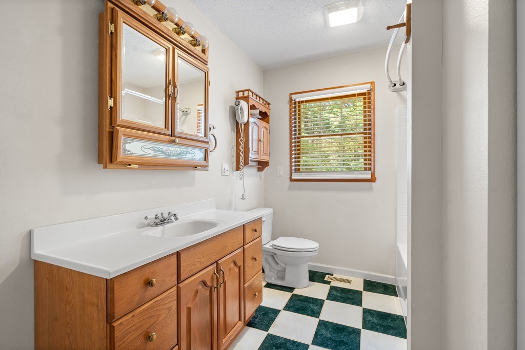 2421 Settlers Ridge Road Hiawassee, GA 30546 - Photo 33 of 46 a bathroom with a sink a toilet and a window