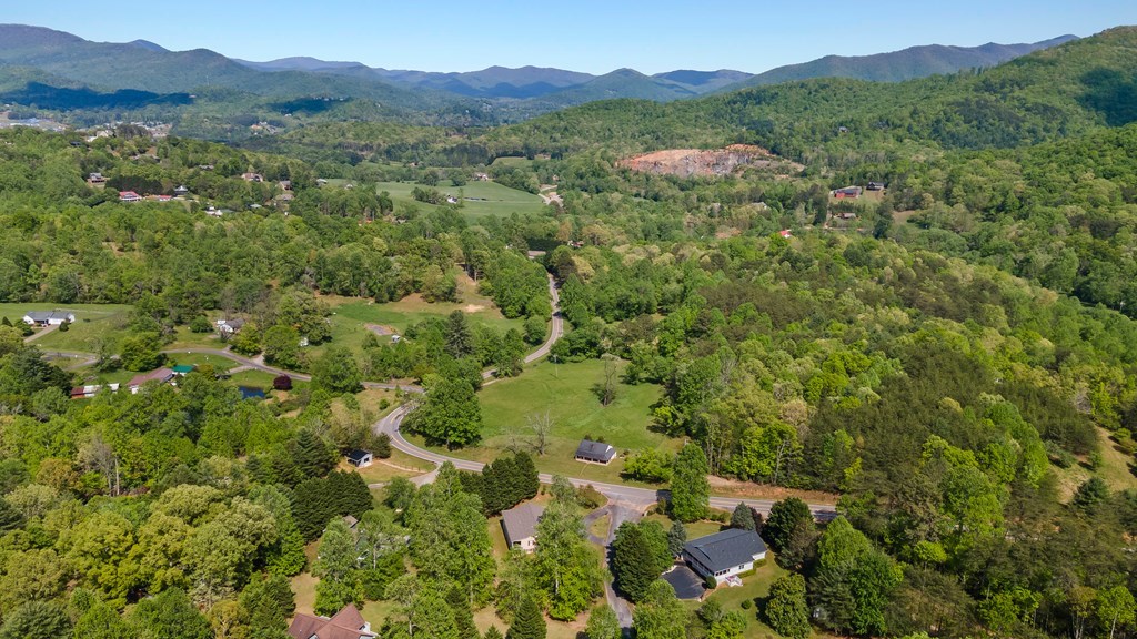2421 Settlers Ridge Road Hiawassee, GA 30546 - Photo 41 of 46 a view of a forest with a street