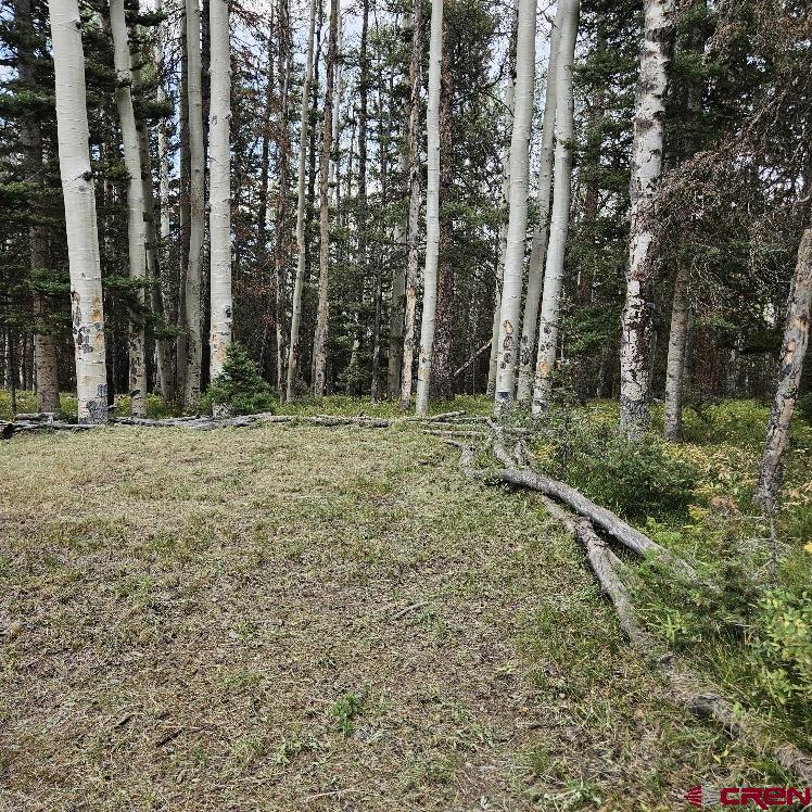 620 Balsam Road Cimarron, CO 81220 - Photo 6 of 14 Gallery Image 6