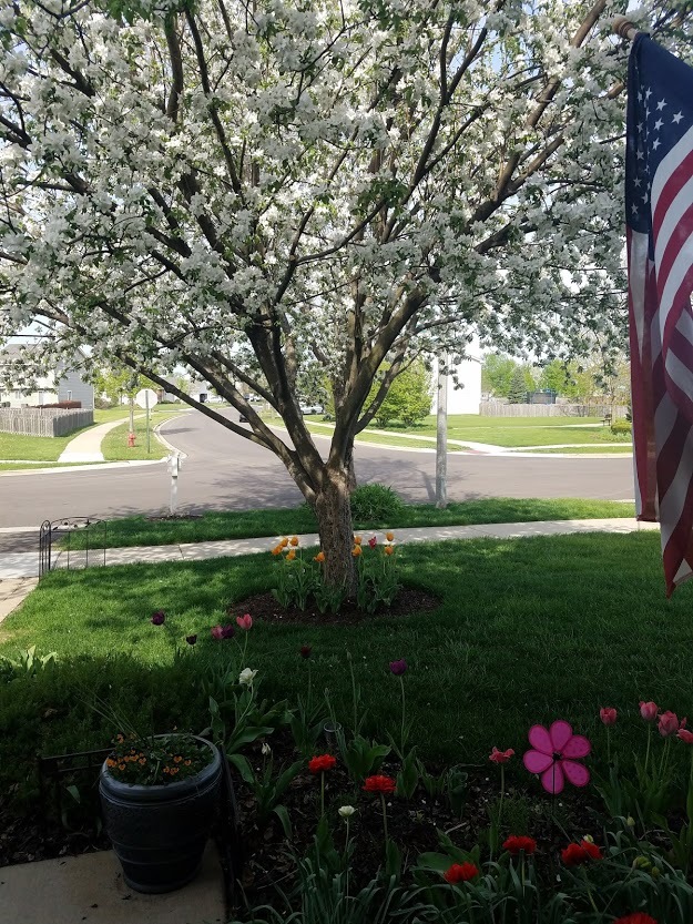 2794 Jenna Circle Montgomery, IL 60538 - Photo 23 of 40