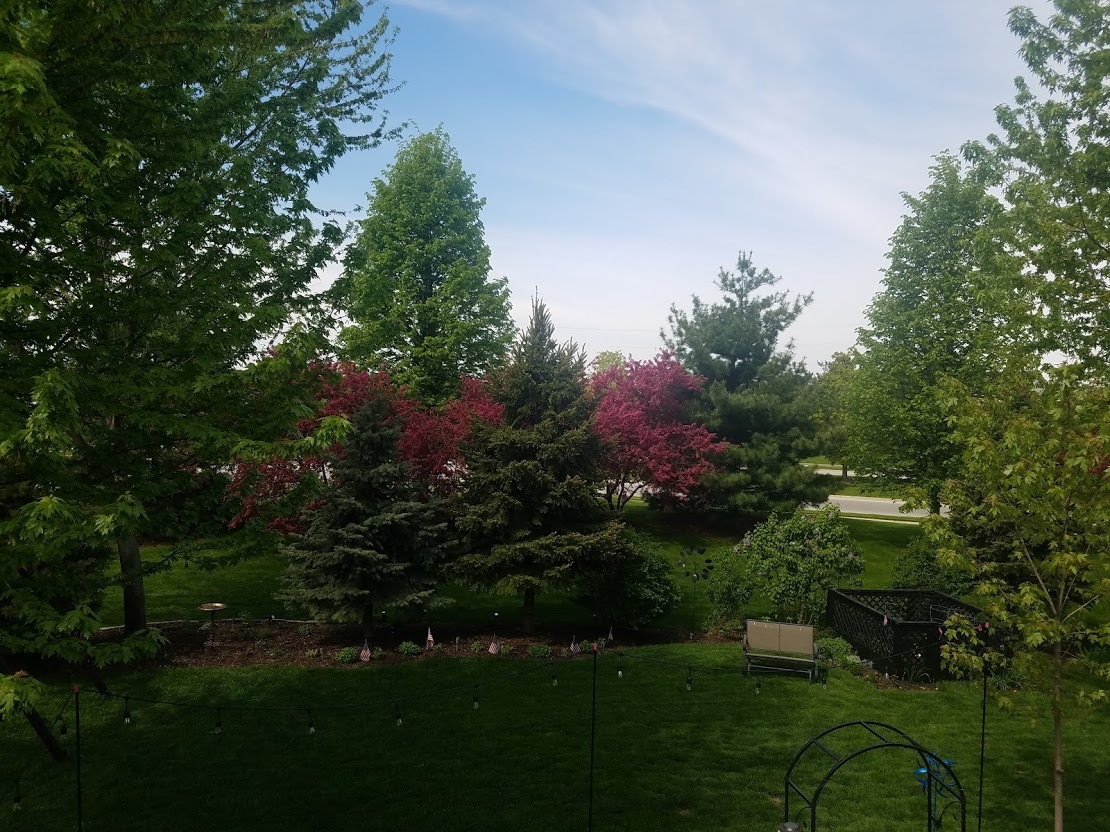 2794 Jenna Circle Montgomery, IL 60538 - Photo 26 of 40