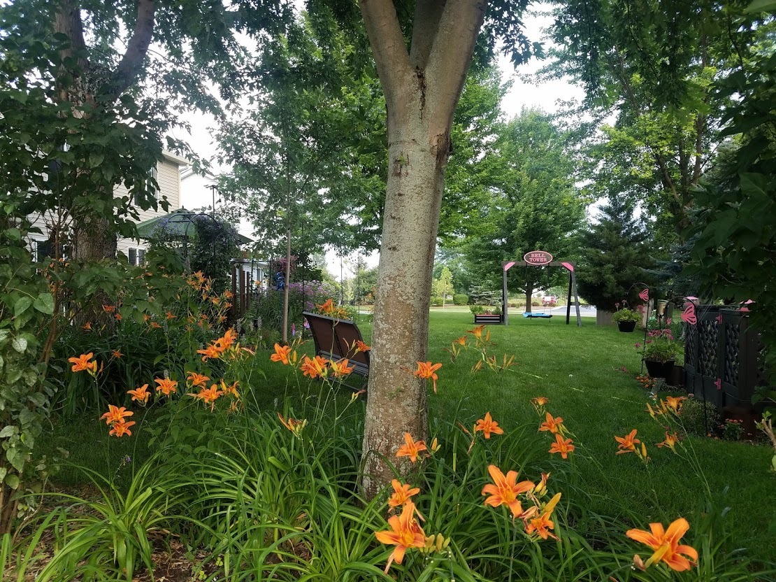 2794 Jenna Circle Montgomery, IL 60538 - Photo 33 of 40