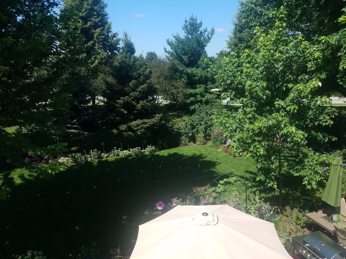 2794 Jenna Circle Montgomery, IL 60538 - Photo 34 of 40