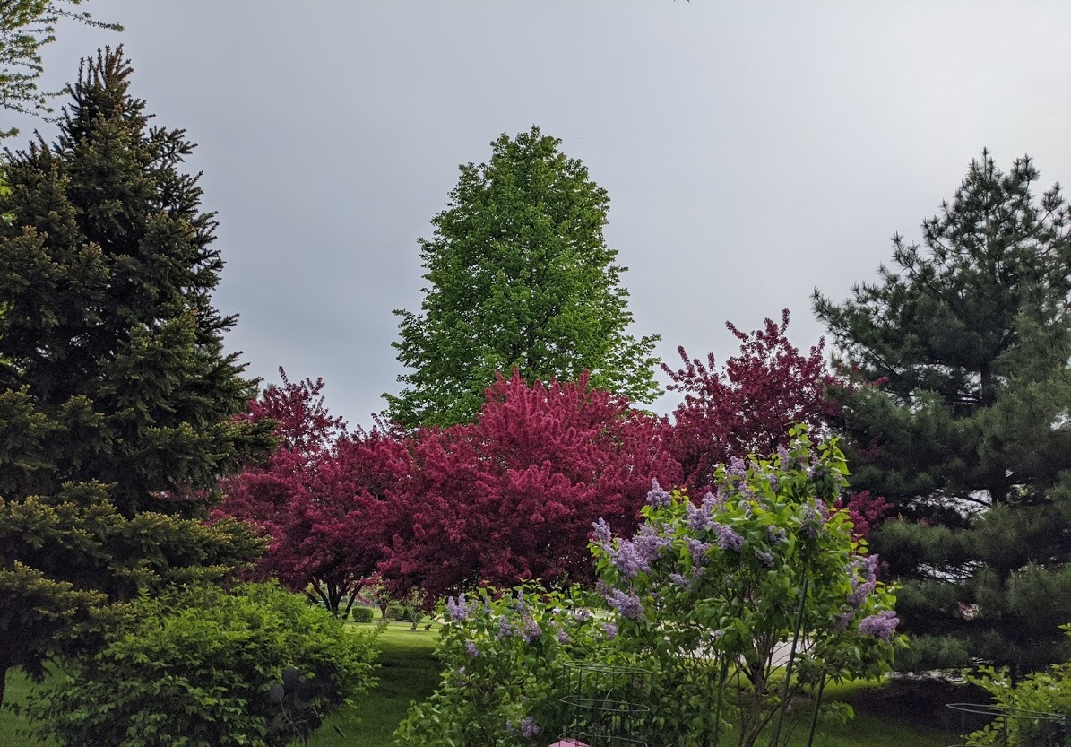 2794 Jenna Circle Montgomery, IL 60538 - Photo 35 of 40