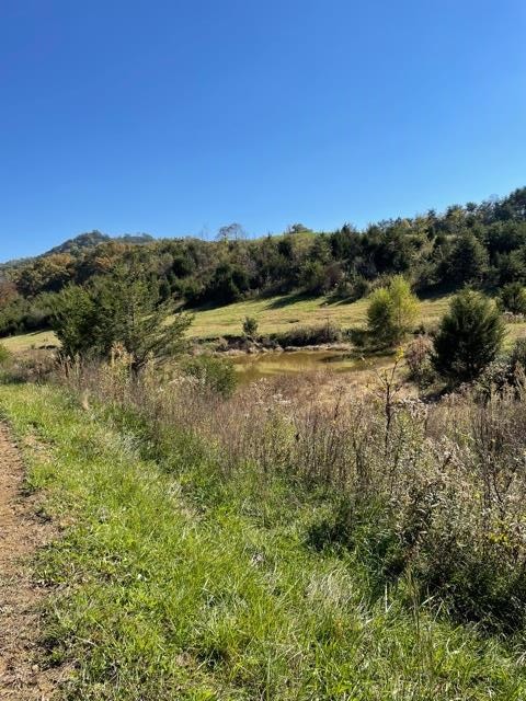 0 McCarter Hollow Road Sevierville, TN 37862 - Photo 11 of 17