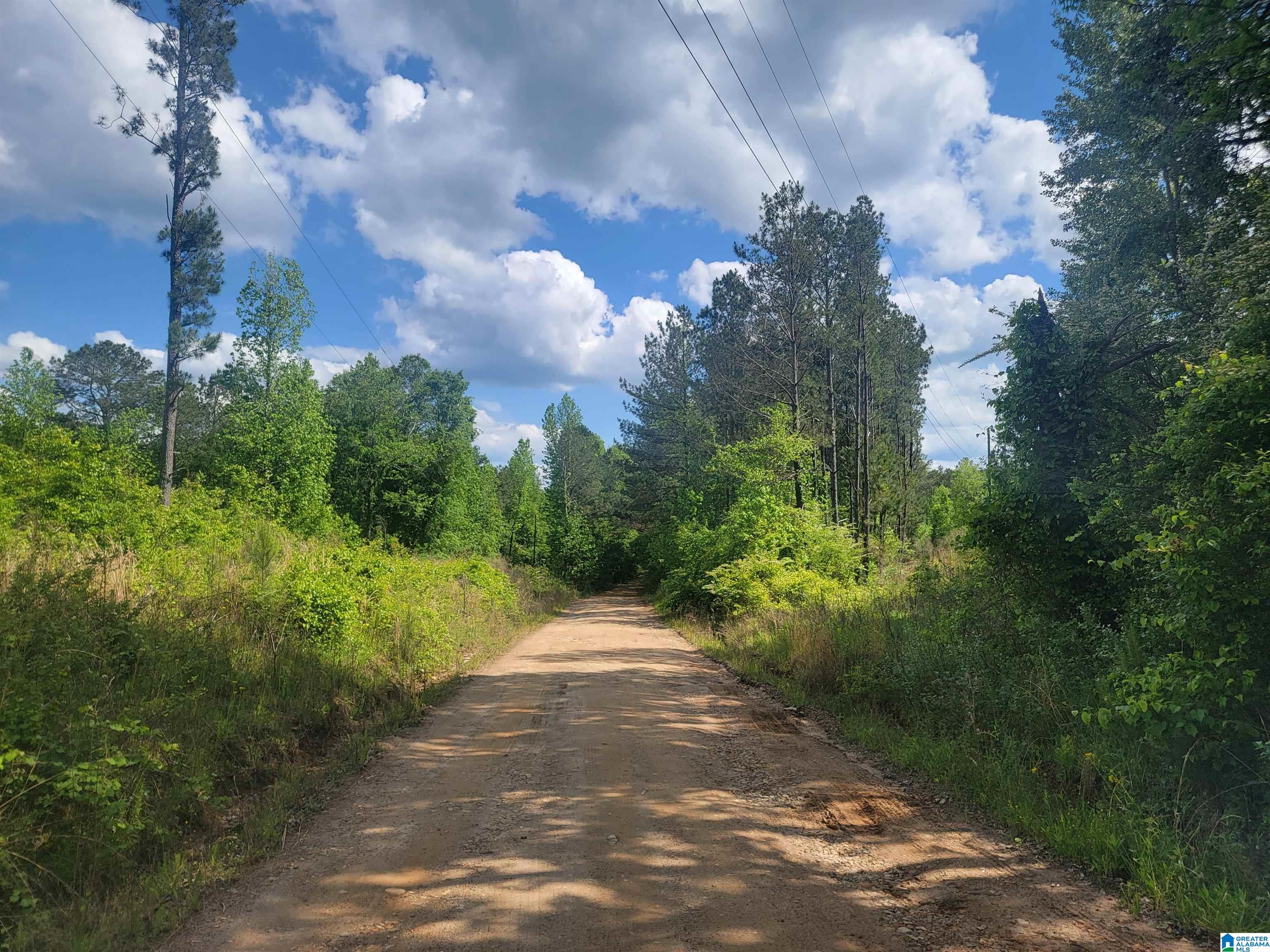 57 County Road 649 Roanoke, AL 36274 - Photo 1 of 4