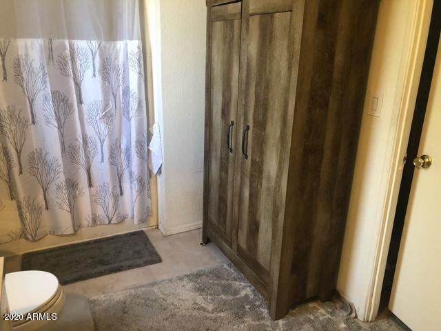 501 East Ray Road, Unit 231 Chandler, AZ 85225 - Photo 9 of 16 MB shower
