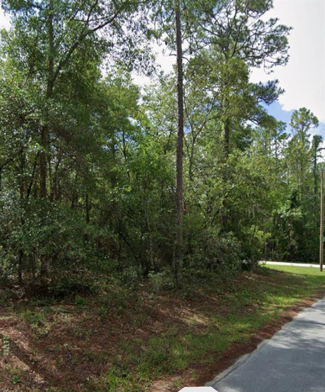 Southwest 178th Terrace Dunnellon, FL 34432 - Photo 2 of 5