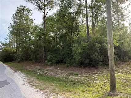 $35,000 | Southwest 178th Terrace, Dunnellon, FL 34432