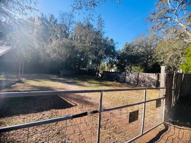 a view of a backyard