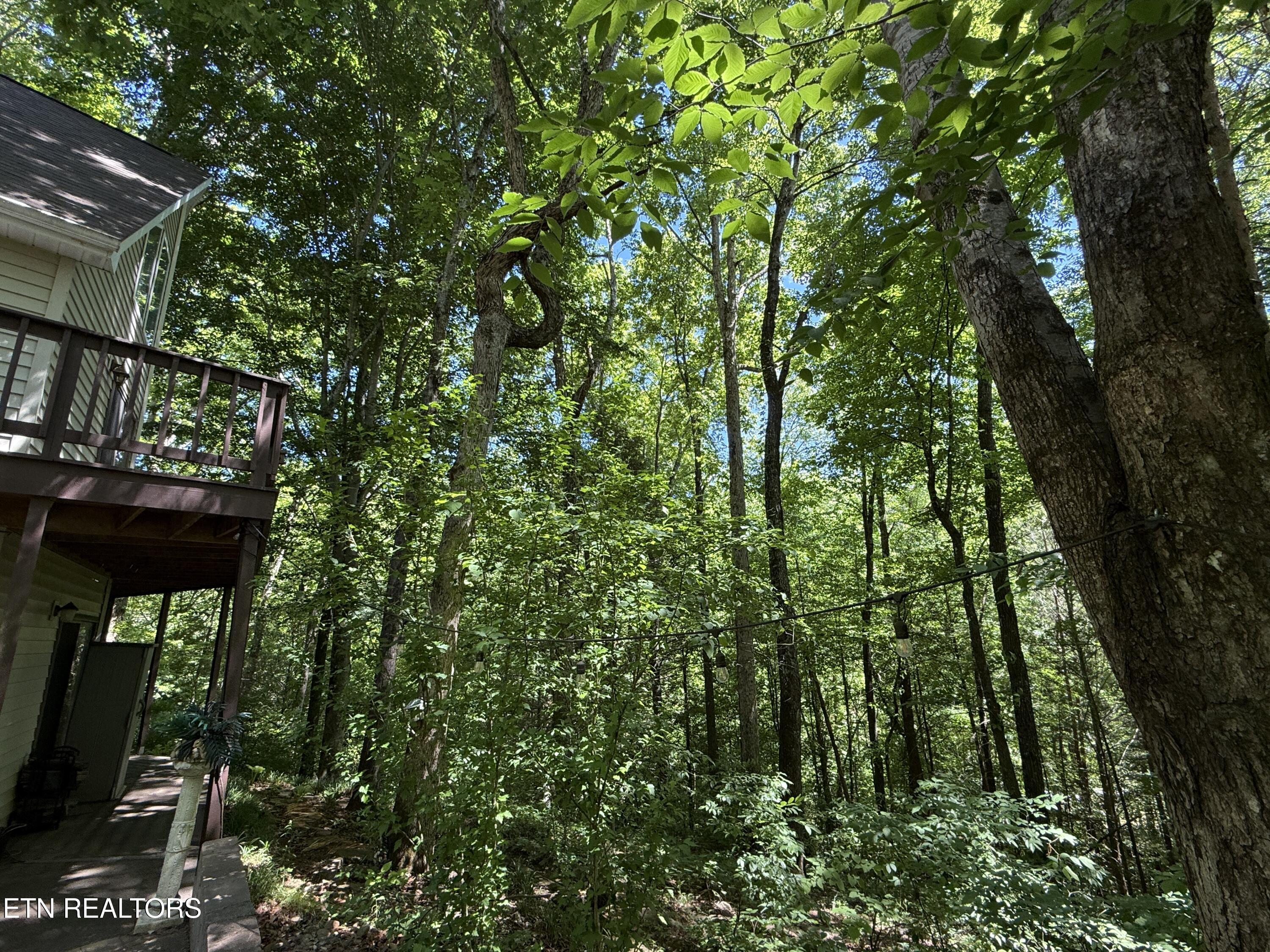 4039 Barb Hollow Road Walland, TN 37886 - Photo 44 of 46 Backyard1
