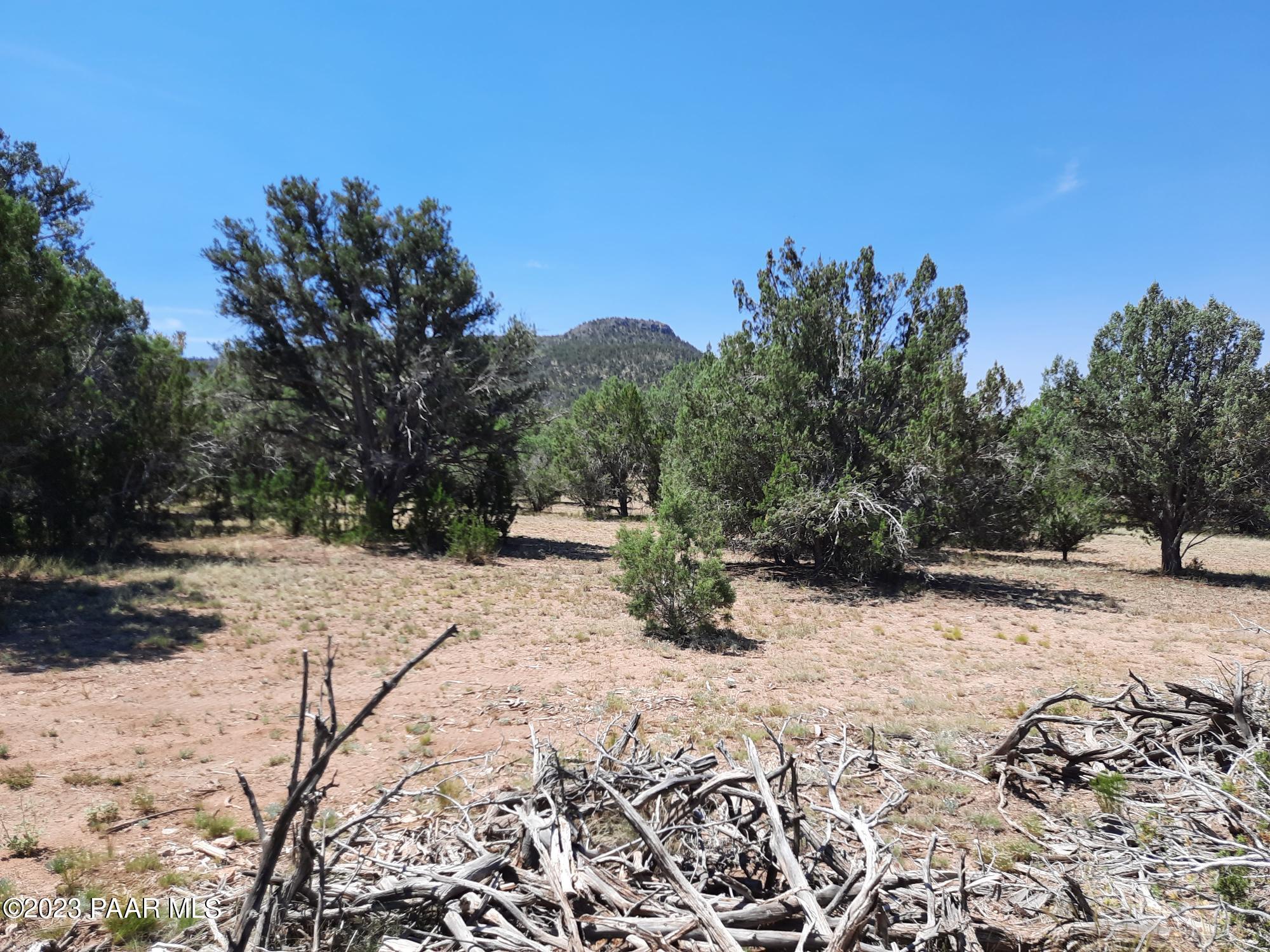 Lot 370 West Spotted Colt Road Seligman, AZ 86337 - Photo 1 of 24 20230716_110626
