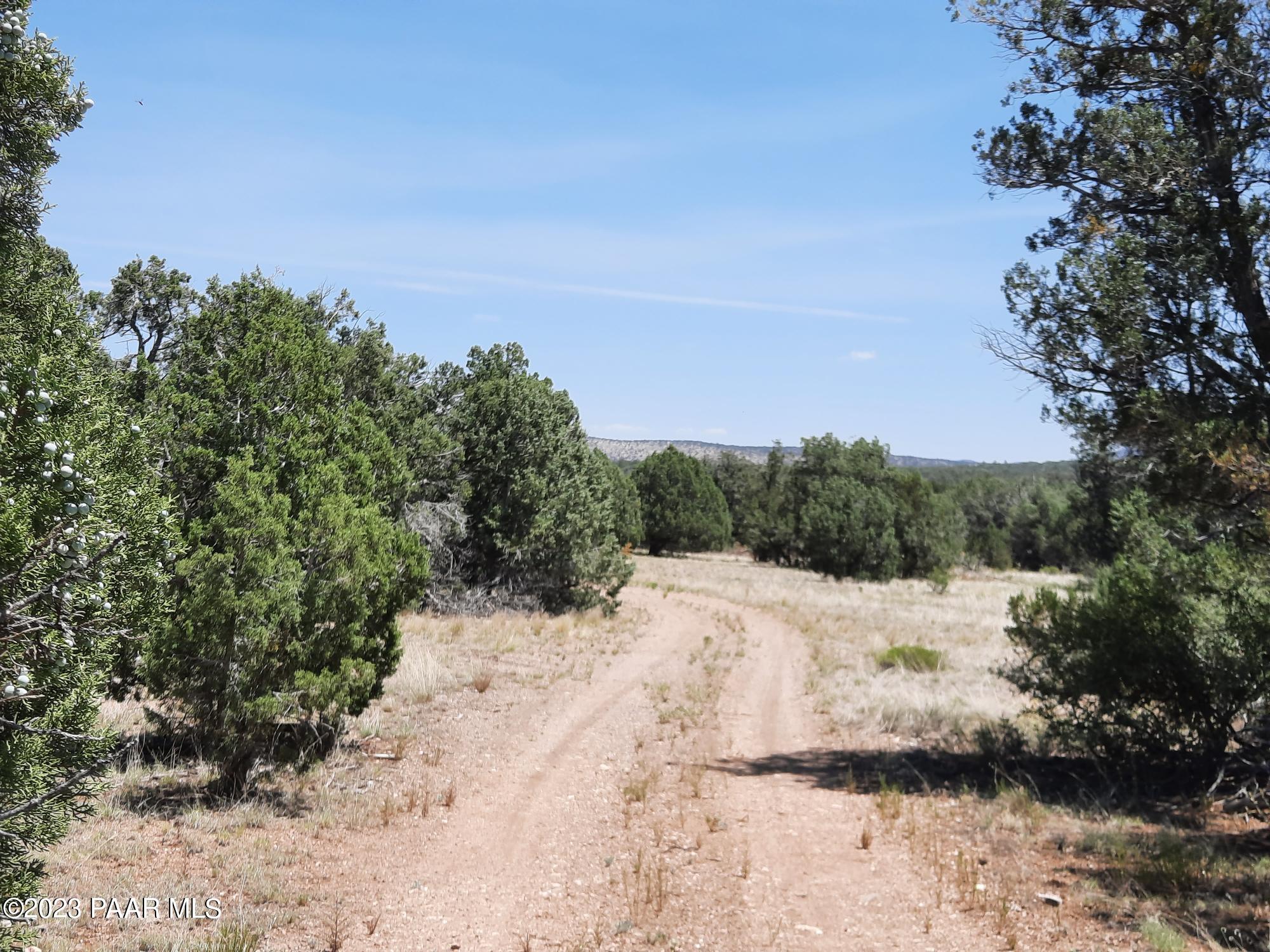 Lot 370 West Spotted Colt Road Seligman, AZ 86337 - Photo 15 of 24 20230716_114634