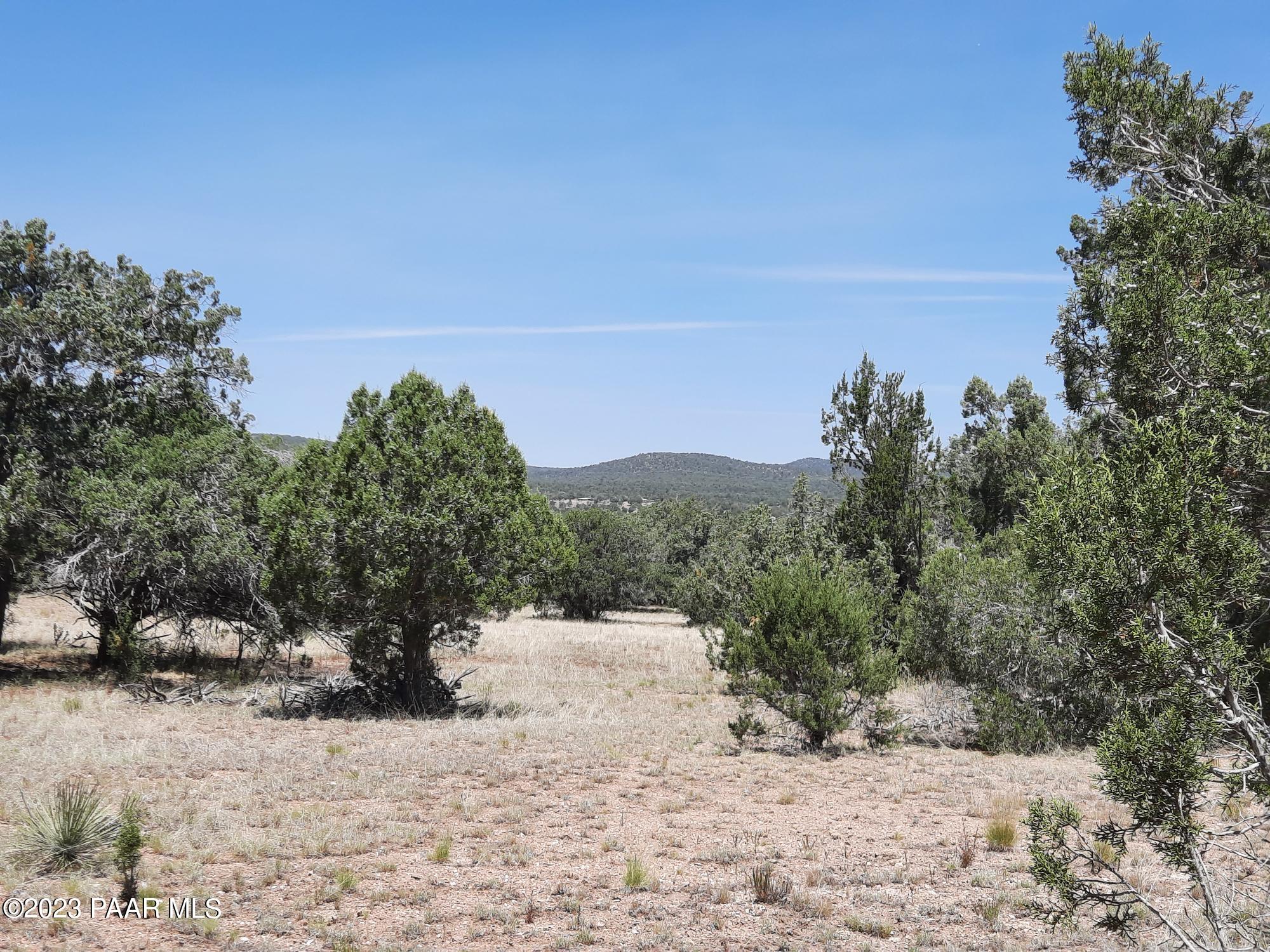 Lot 370 West Spotted Colt Road Seligman, AZ 86337 - Photo 17 of 24 20230716_114804