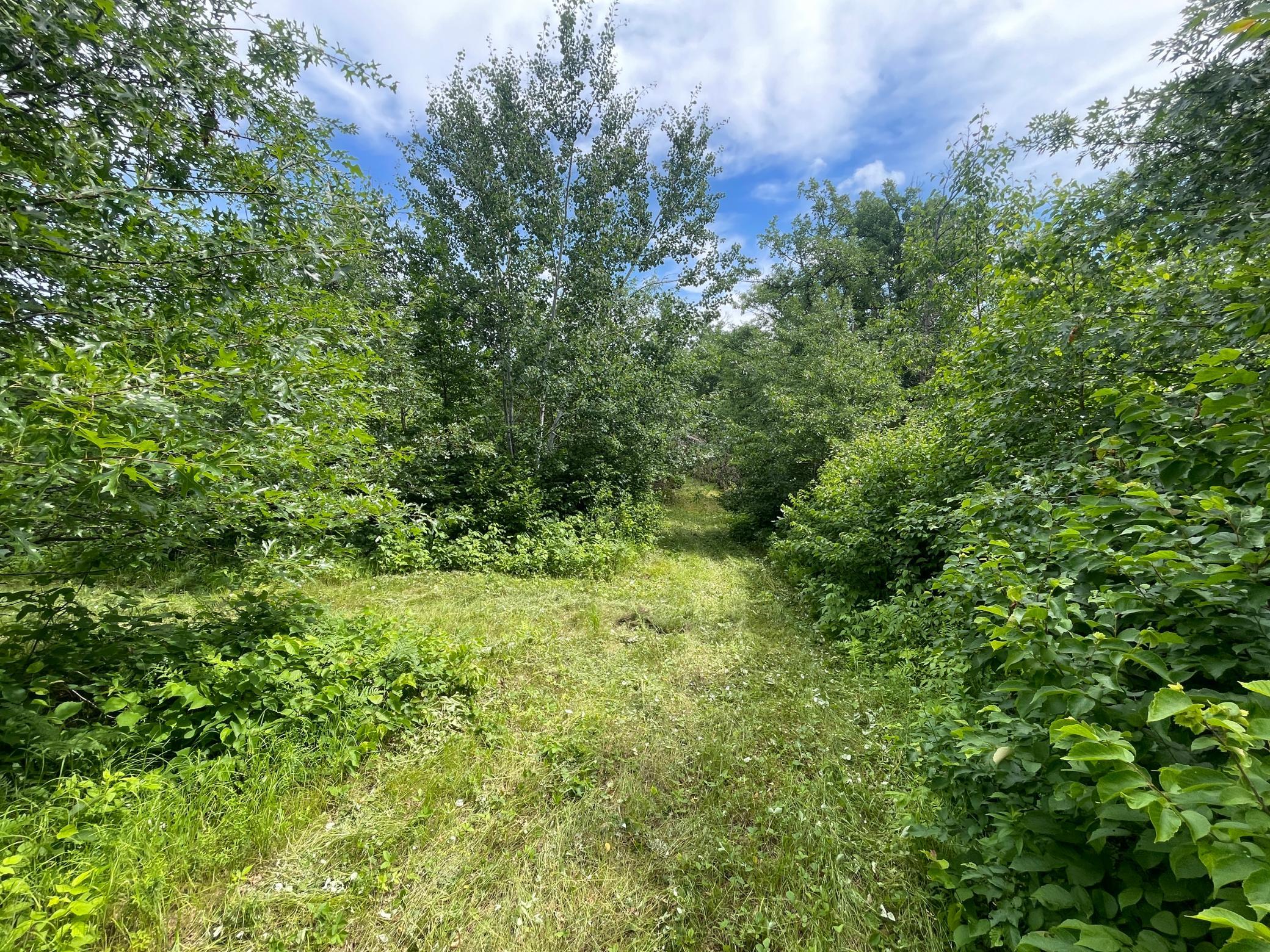 Tbd Boot Lake Road Southwest Bemidji, MN 56601 - Photo 26 of 55