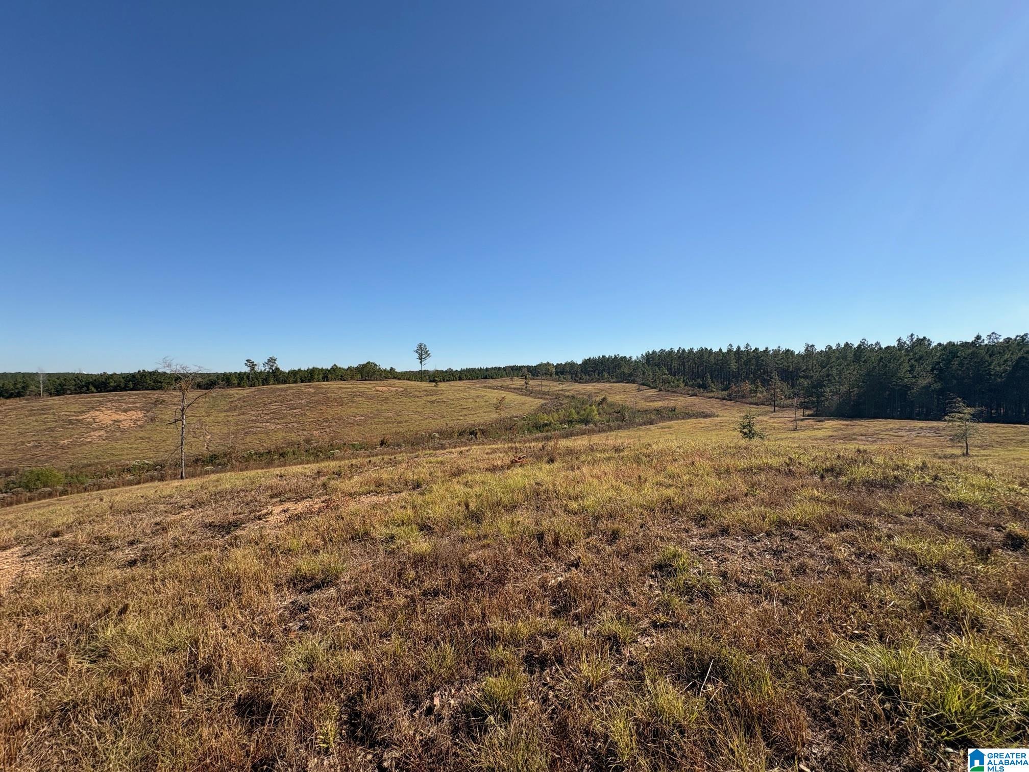 3679 Chelsea Road, Unit 2 Columbiana, AL 35051 - Photo 8 of 13