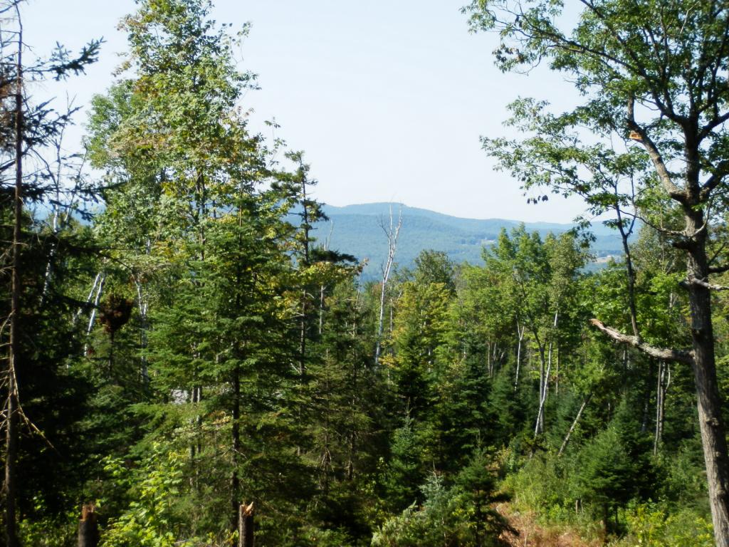 Lot #7 Upper Valley Road Bethlehem, NH 03574 - Photo 1 of 26