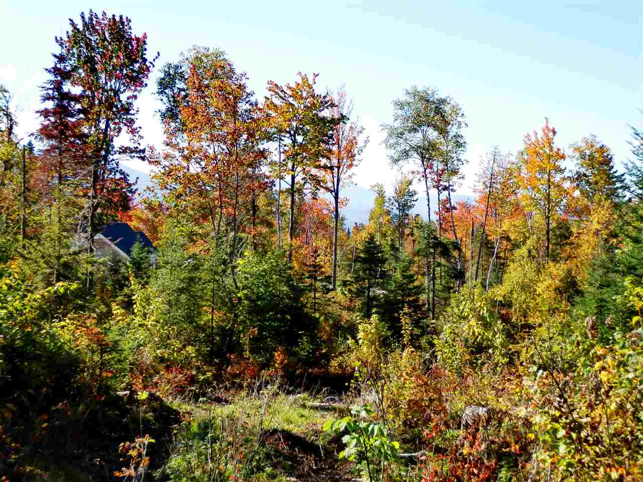 Lot #7 Upper Valley Road Bethlehem, NH 03574 - Photo 2 of 26
