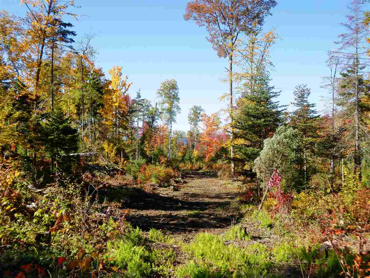 Lot #7 Upper Valley Road Bethlehem, NH 03574 - Photo 11 of 26