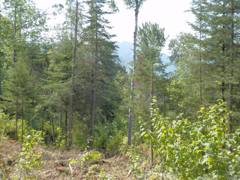 Lot #7 Upper Valley Road Bethlehem, NH 03574 - Photo 12 of 26
