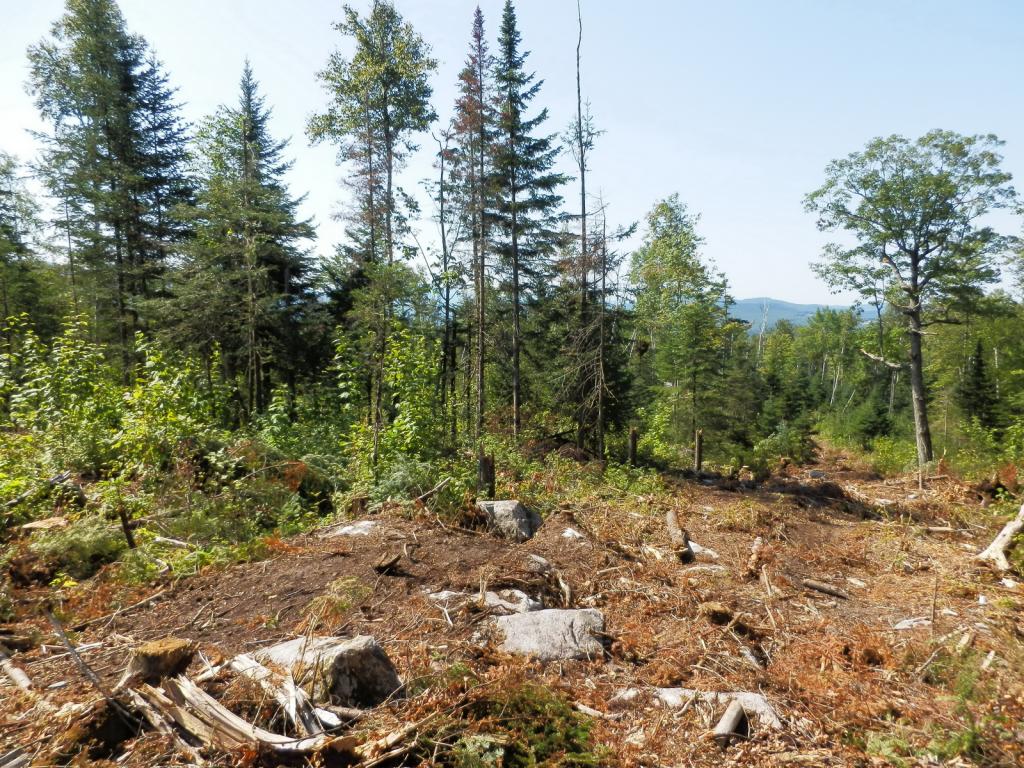 Lot #7 Upper Valley Road Bethlehem, NH 03574 - Photo 13 of 26