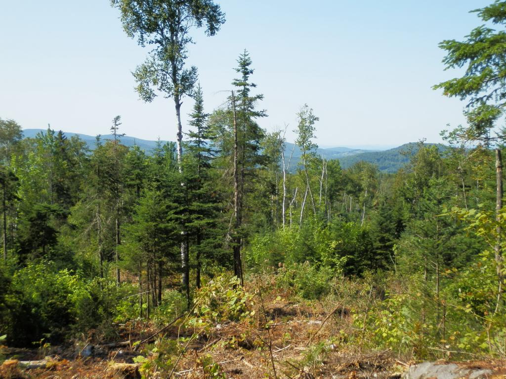 Lot #7 Upper Valley Road Bethlehem, NH 03574 - Photo 14 of 26