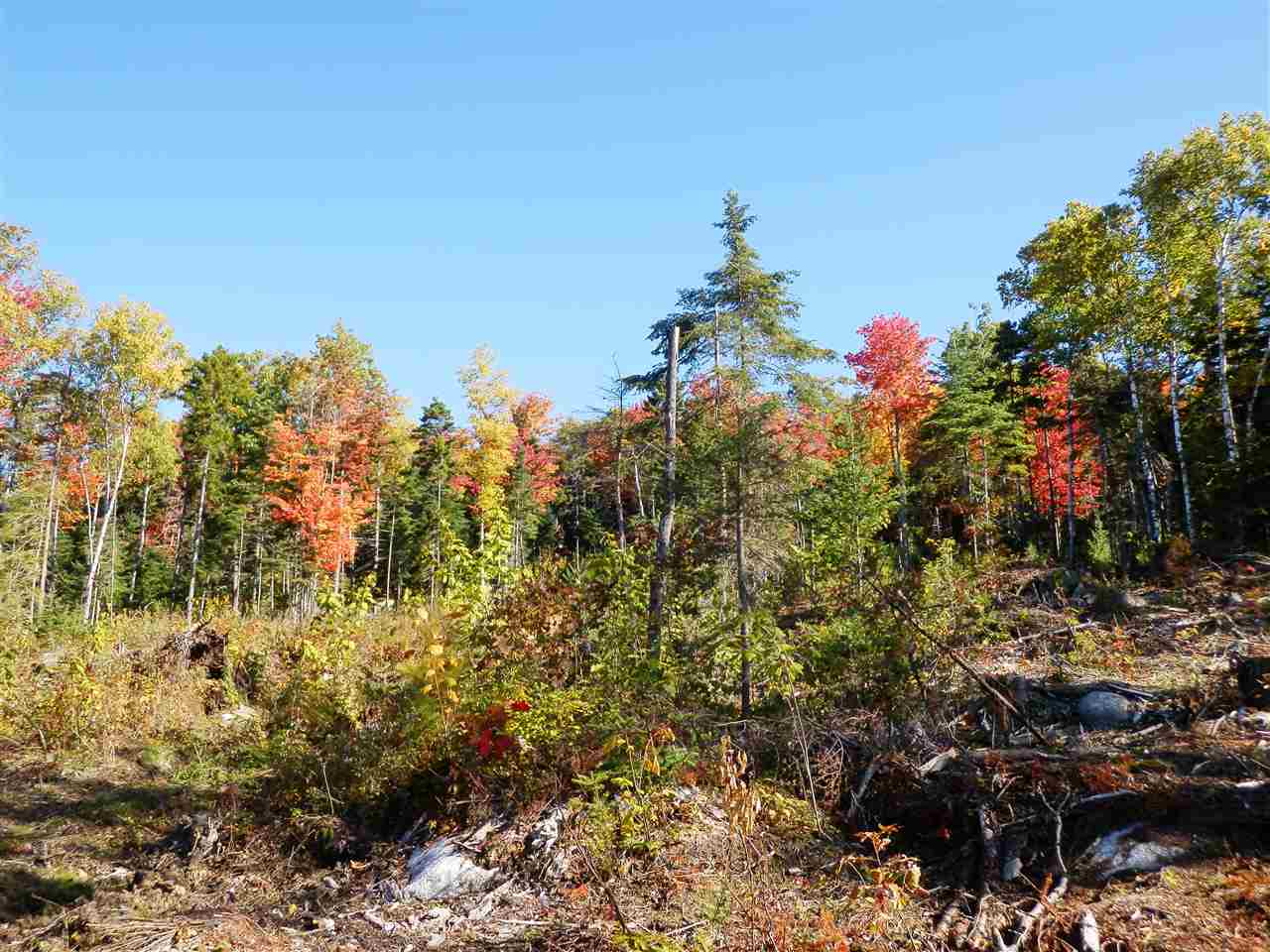 Lot #7 Upper Valley Road Bethlehem, NH 03574 - Photo 17 of 26