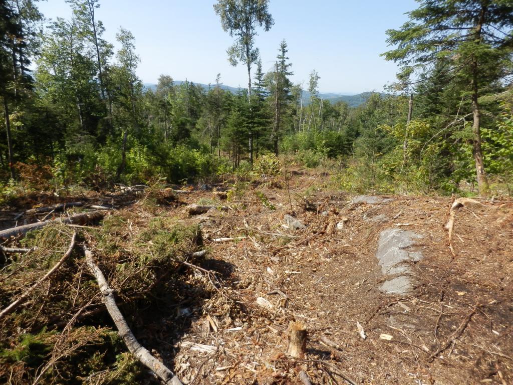 Lot #7 Upper Valley Road Bethlehem, NH 03574 - Photo 18 of 26