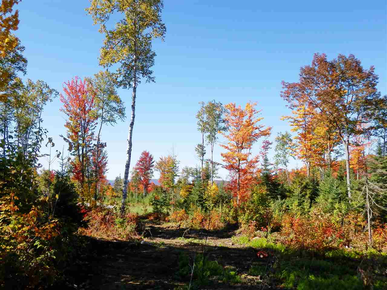Lot #7 Upper Valley Road Bethlehem, NH 03574 - Photo 19 of 26