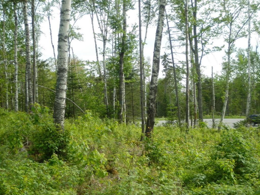 Lot #7 Upper Valley Road Bethlehem, NH 03574 - Photo 20 of 26