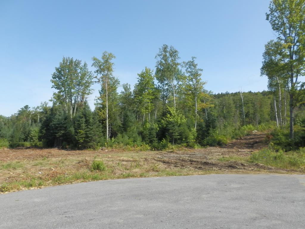Lot #7 Upper Valley Road Bethlehem, NH 03574 - Photo 3 of 26