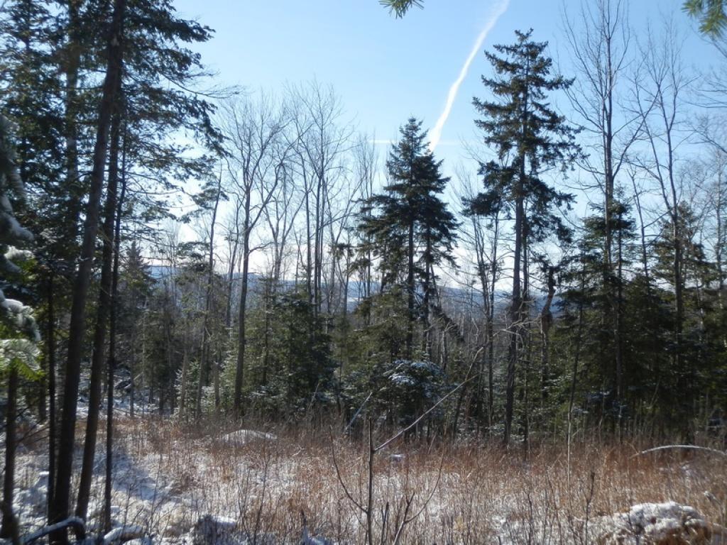 Lot #7 Upper Valley Road Bethlehem, NH 03574 - Photo 21 of 26
